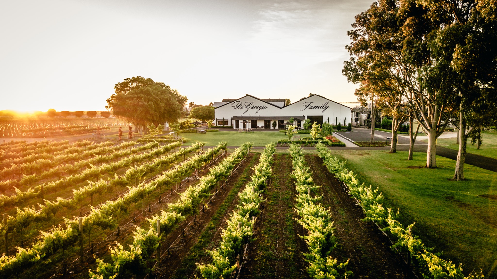 DiGiorgio Family Wines