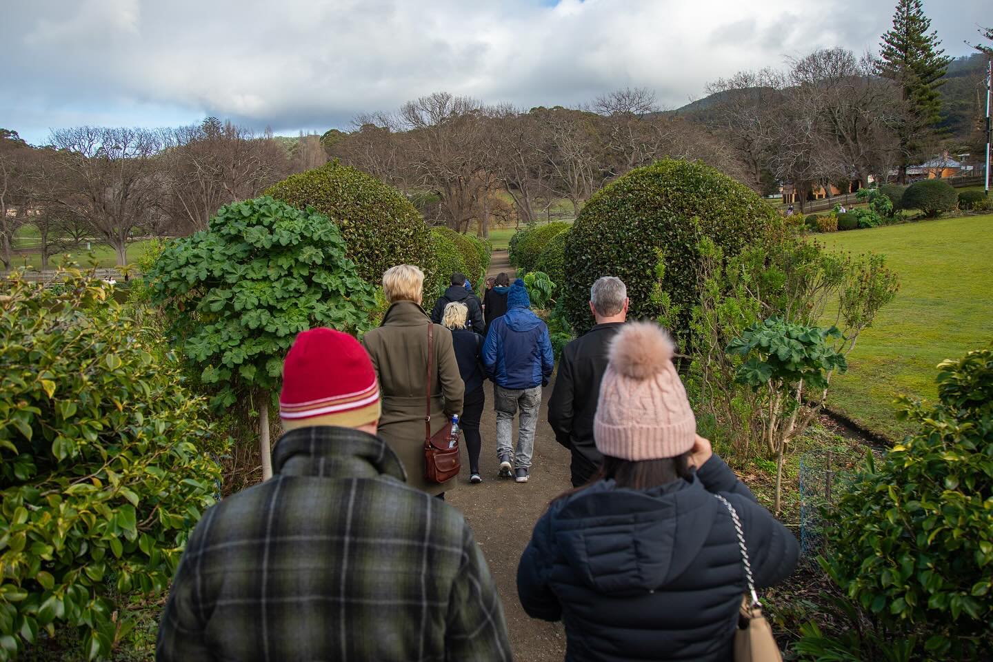 Apple Isle Wine Tours