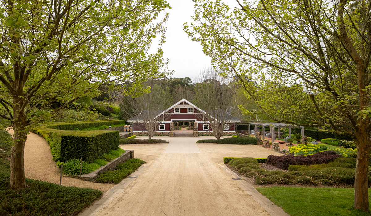 Ocean Eight Vineyard