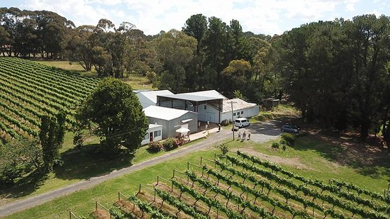 Brangayne Wines
