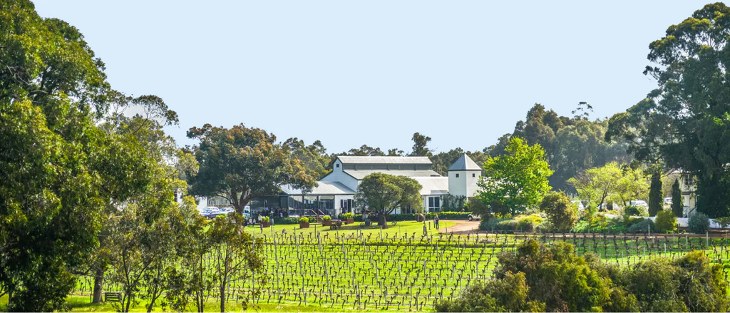 Hay Shed Hill Wines