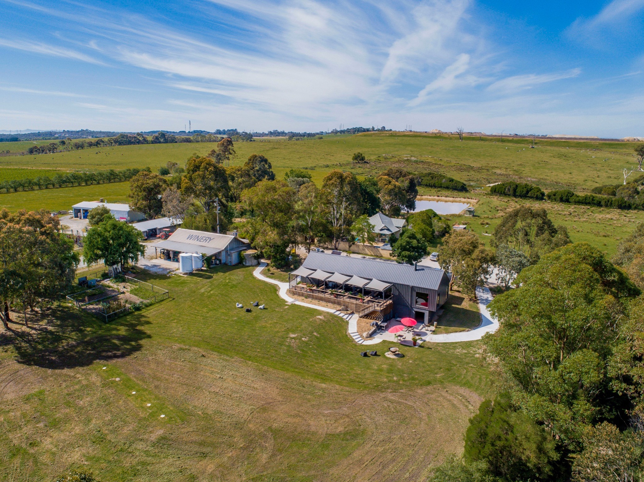 Cannibal Creek Vineyard