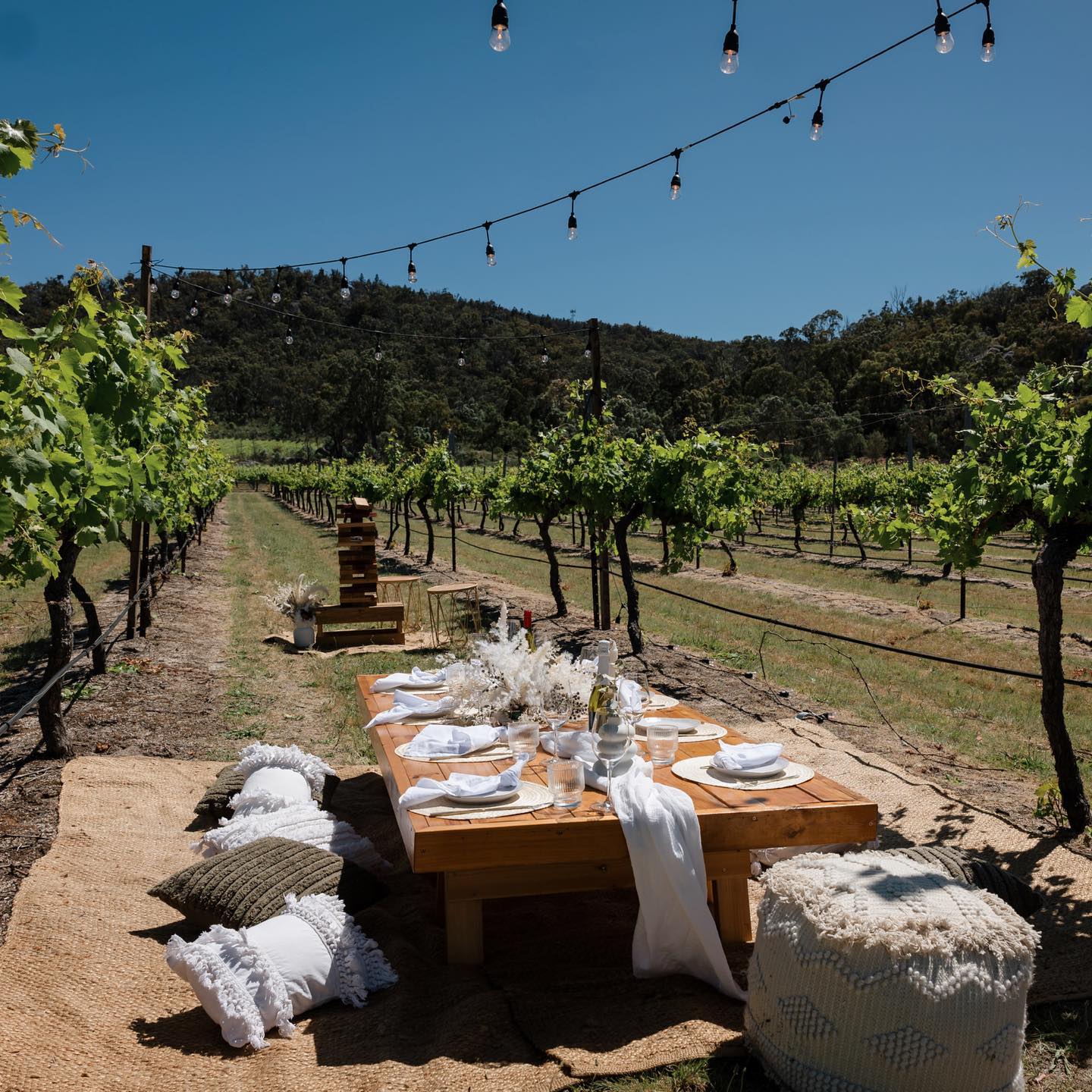 Balancing Heart Vineyard