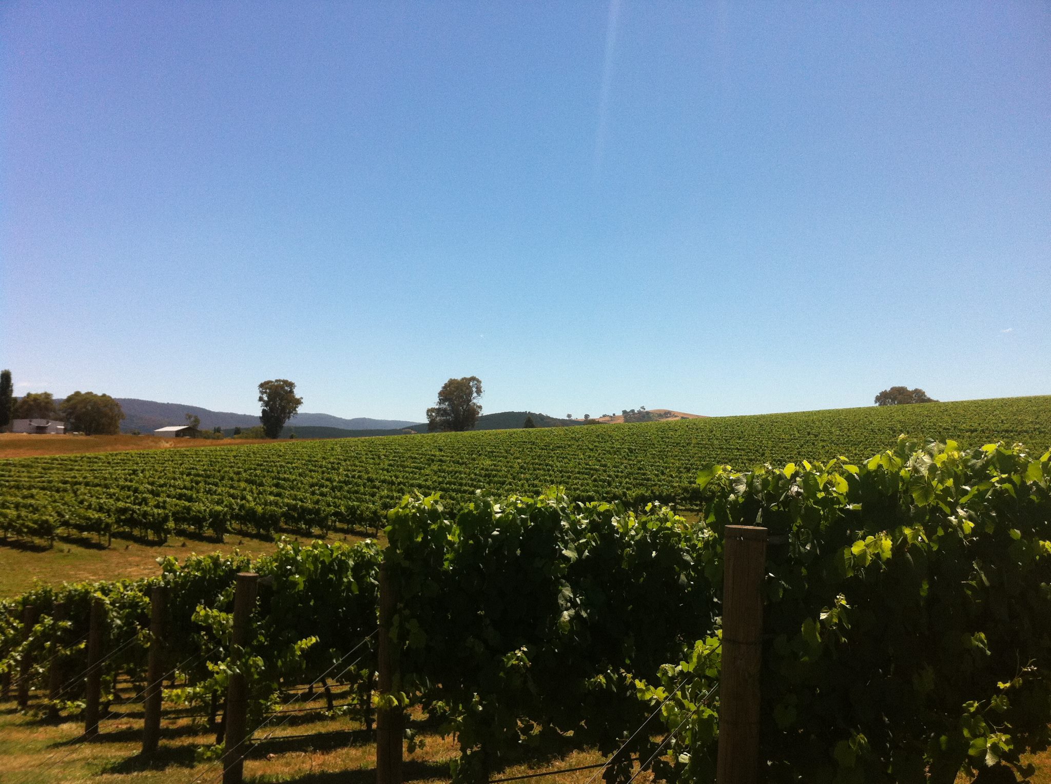 Chalkers Crossing Winery