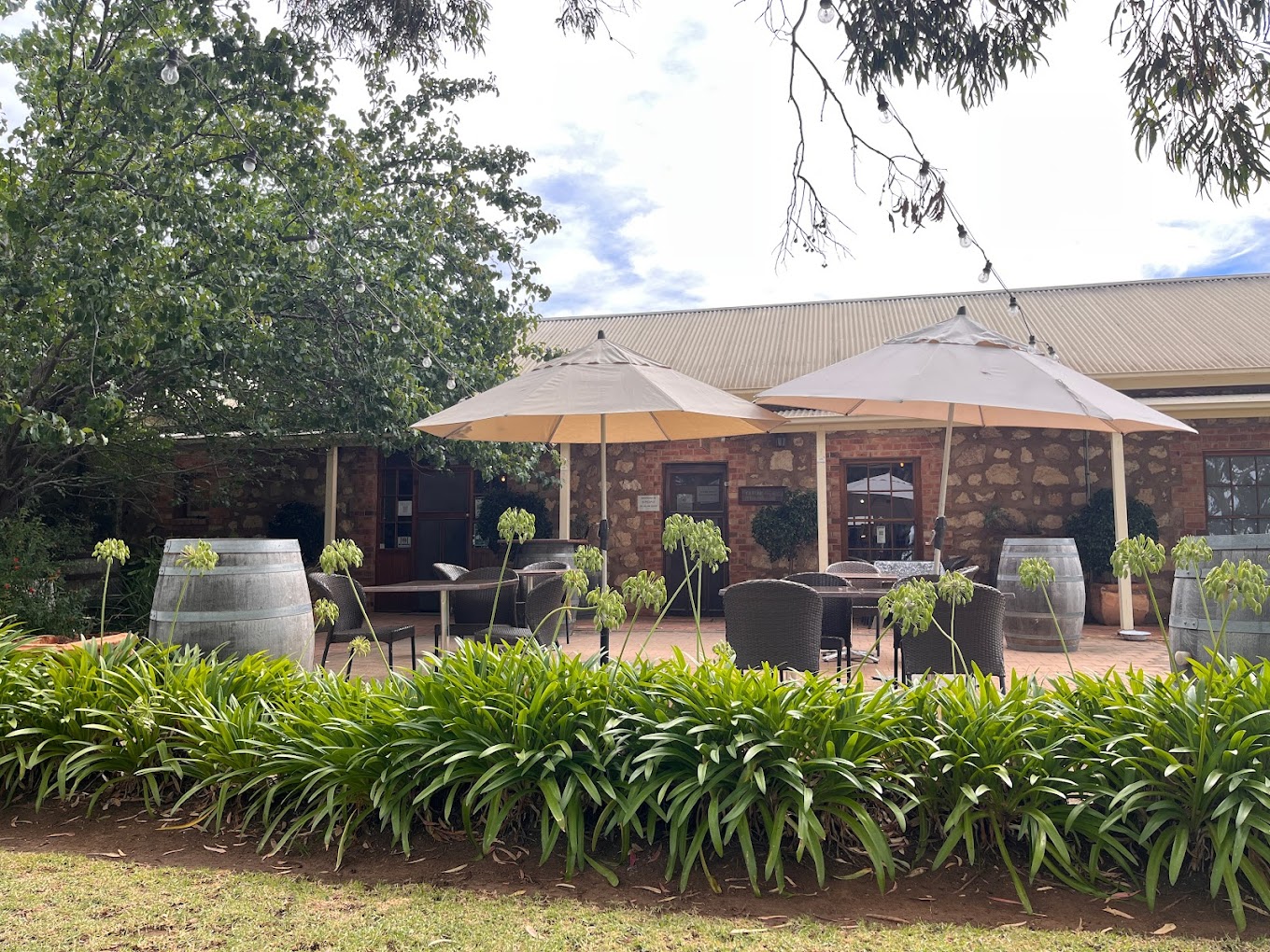 Meechi Brewing Company