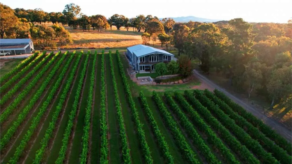 Mortimer's Wines Cellar Door