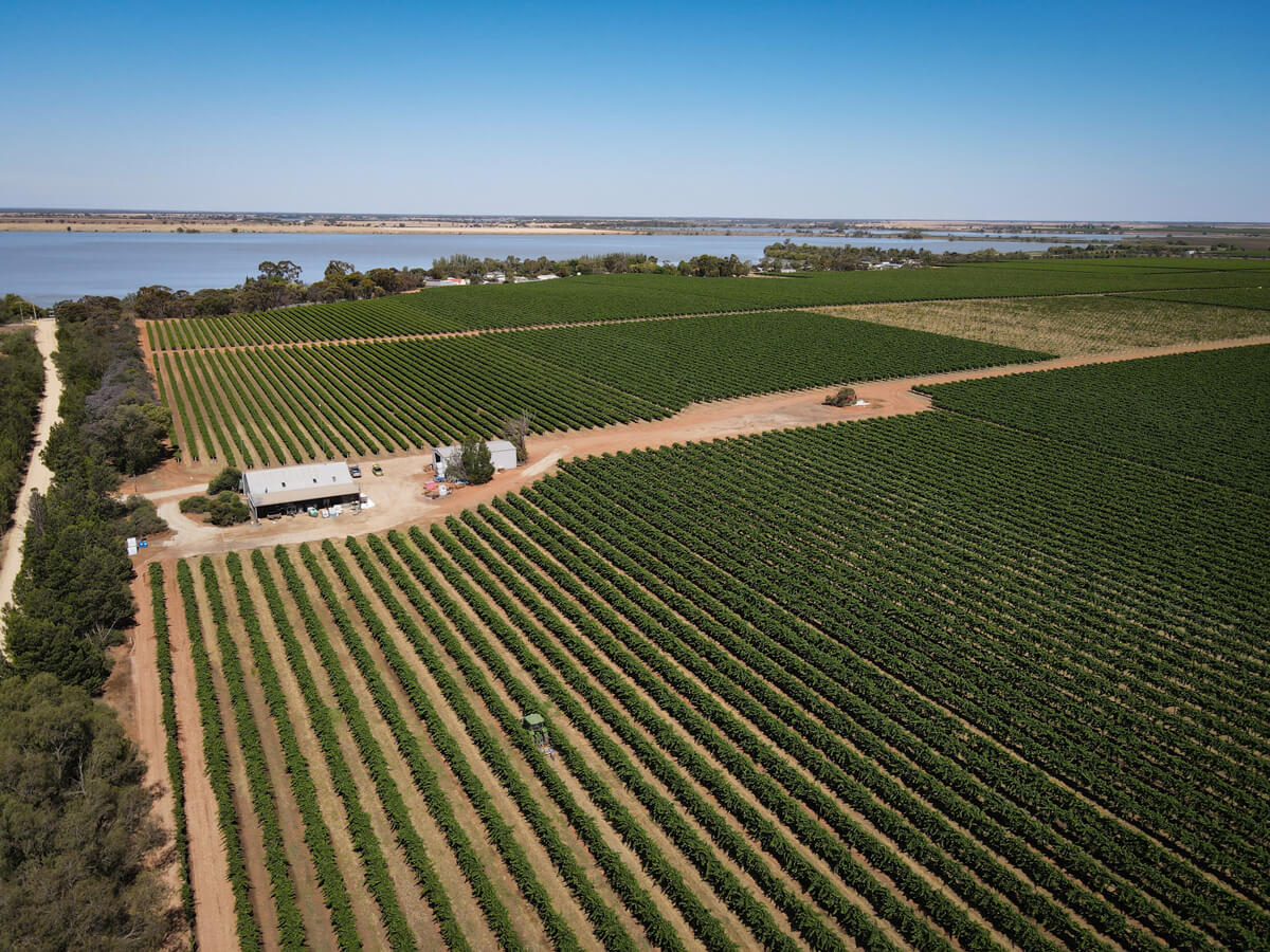 Murray Darling and Swan Hill
