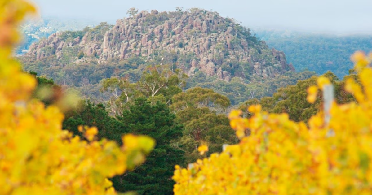 Macedon Ranges | Best Wineries Of Australia | Best Wineries Australia