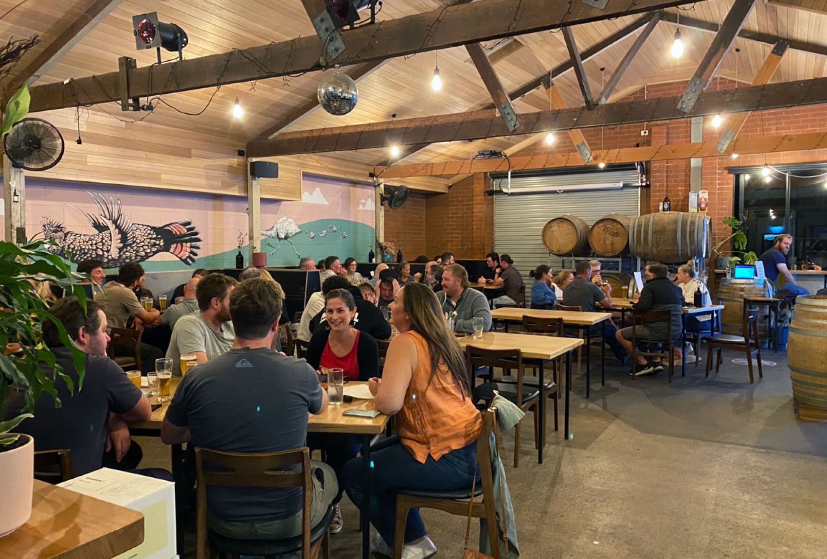 Noodledoof Brewing and Distilling