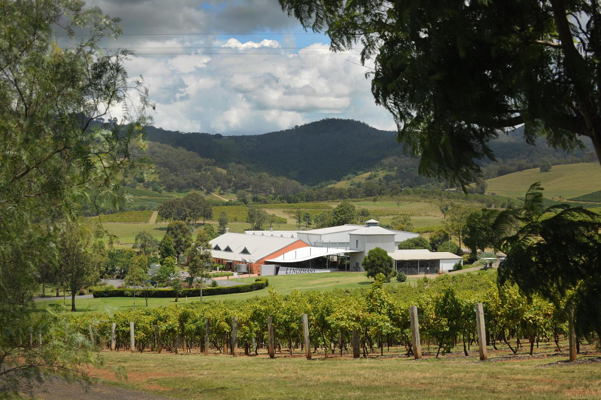 Lindeman's Hunter Valley