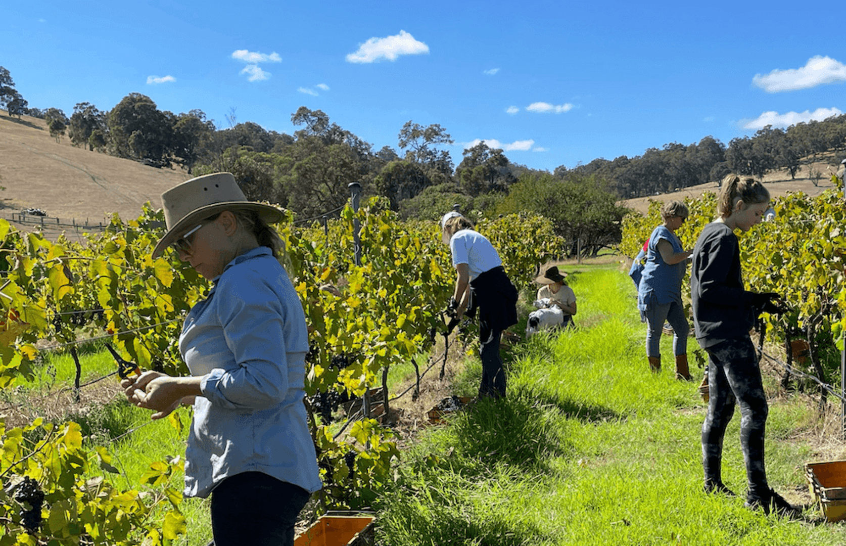 Hackersley Estate Wines