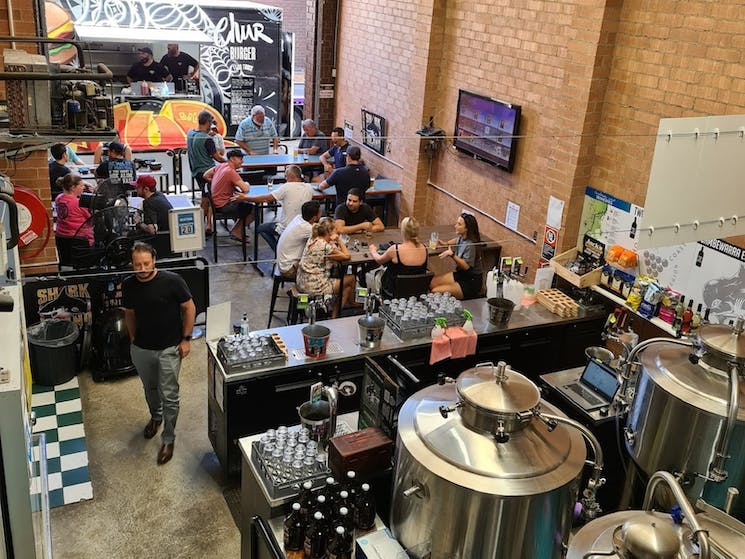 Shark Island Brewing