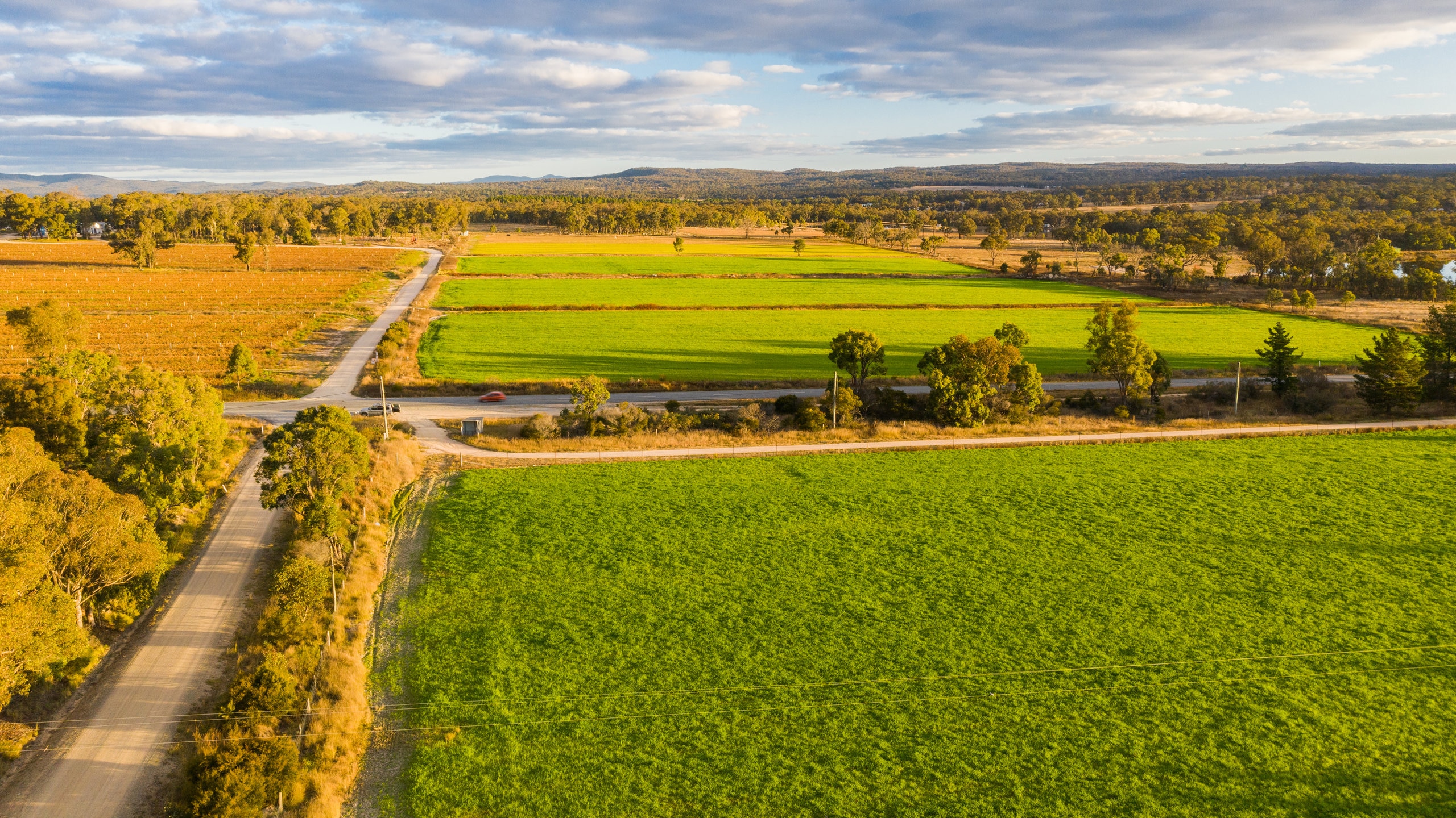 Granite Belt Wine Region