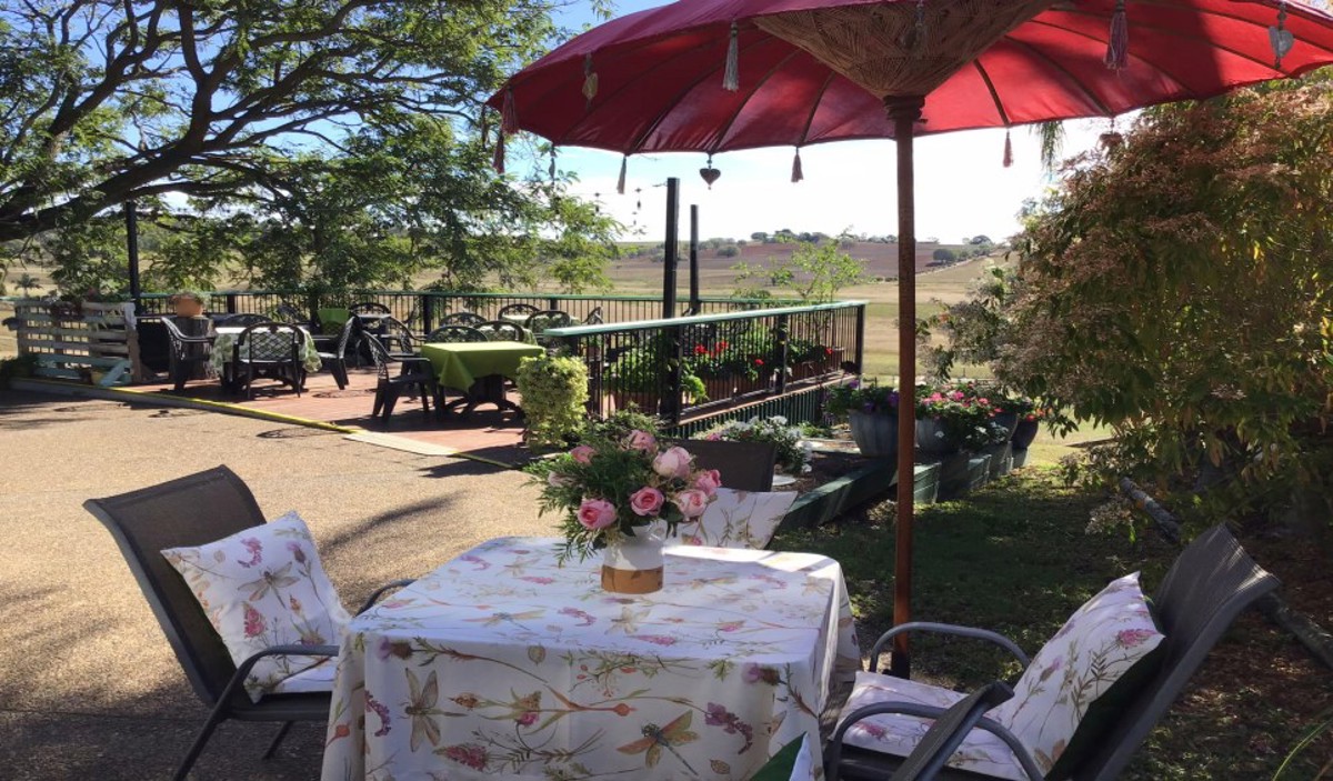 Vintner's Secret Vineyard