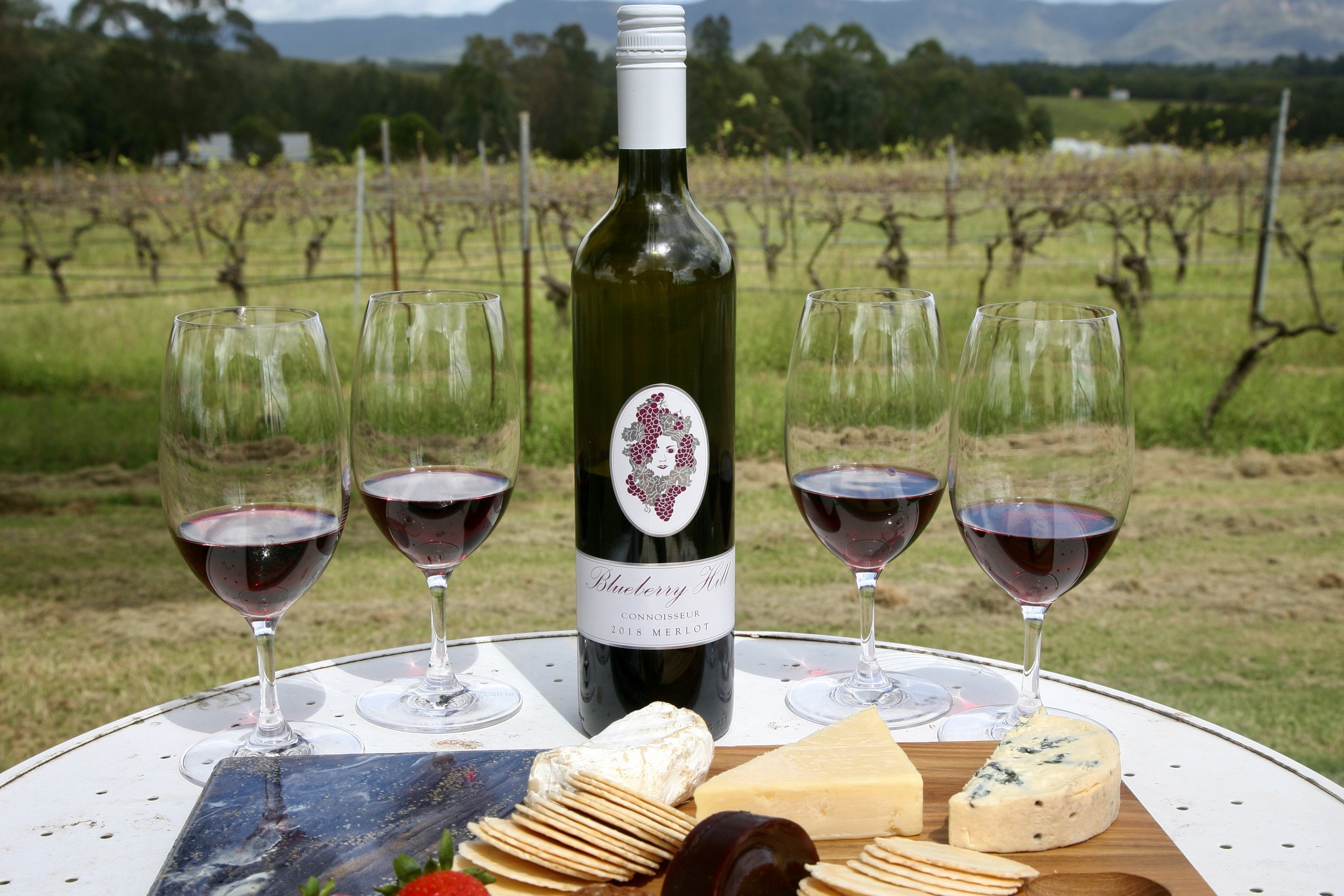 Blueberry Hill Vineyard