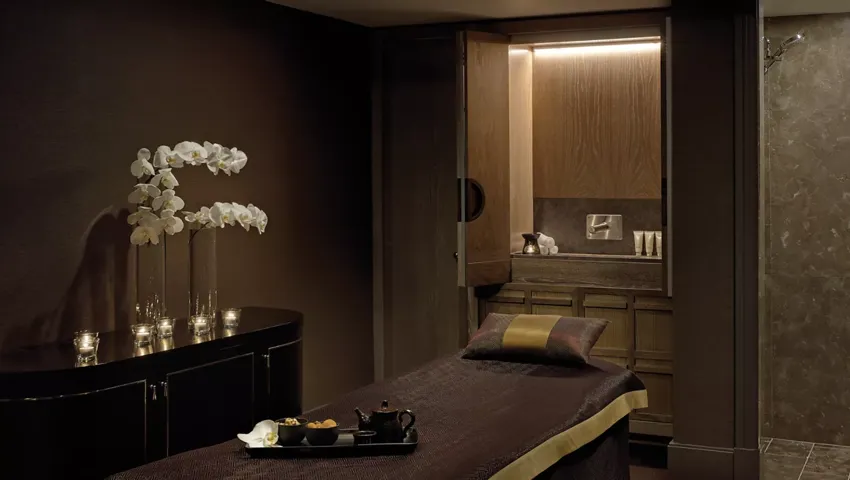 Tlsyd Wellness Day Spa Treatment Room Medium